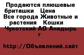 Продаются плюшевые бриташки › Цена ­ 2 500 - Все города Животные и растения » Кошки   . Чукотский АО,Анадырь г.